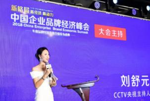 中国企业品牌经济峰会 ,创客匠人获评年度互联网企业服务十大创新品牌